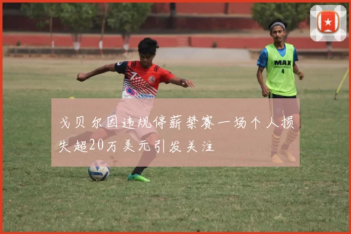 戈贝尔因违规停薪禁赛一场个人损失超20万美元引发关注